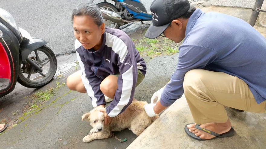 VAKSINASI RABIES SERENTAK DI 4 BANJAR DINAS