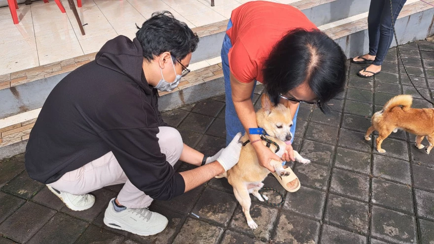VAKSINASI RABIES DI 3 BANJAR DINAS 
